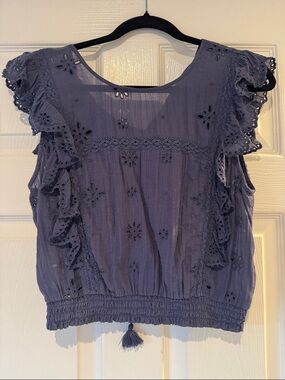 American Eagle Outfitters Lavender Eyelet Ruffle Crop Top